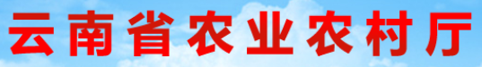 云南農業(yè)信息網(wǎng)